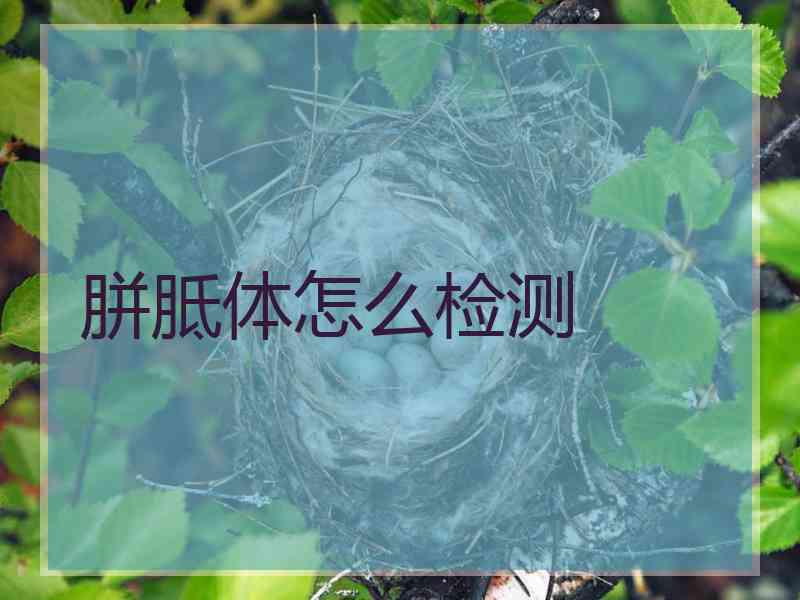 胼胝体怎么检测