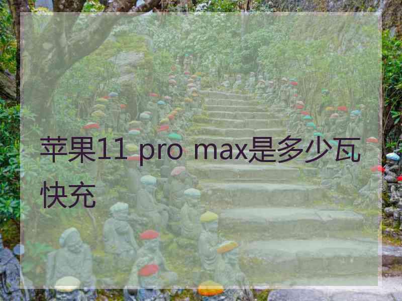 苹果11 pro max是多少瓦快充