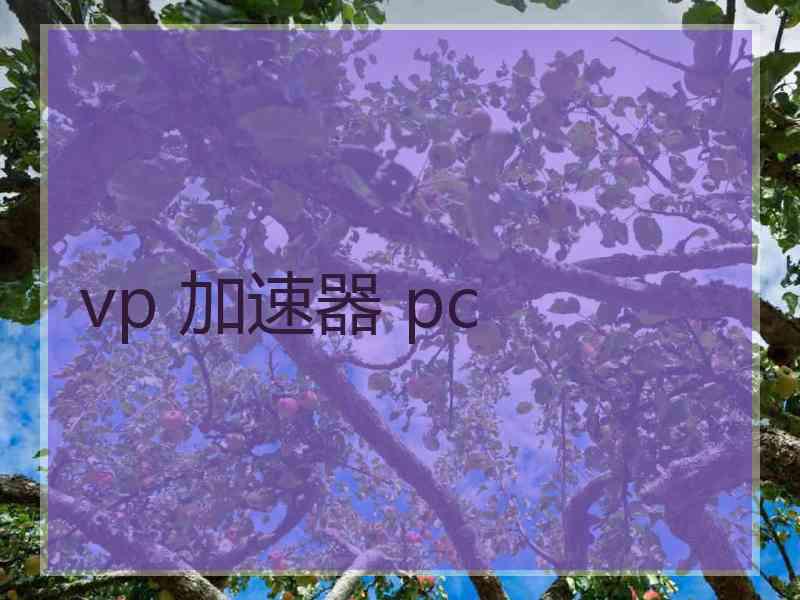 vp 加速器 pc