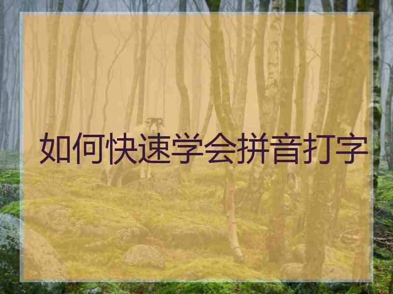 如何快速学会拼音打字