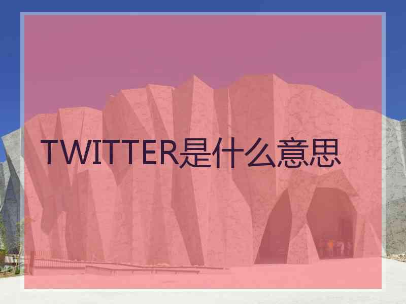 TWITTER是什么意思