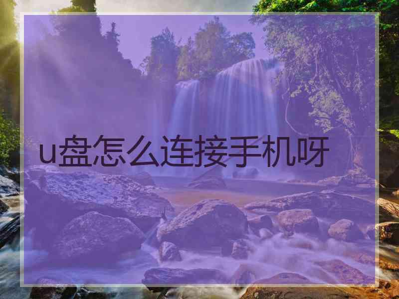 u盘怎么连接手机呀