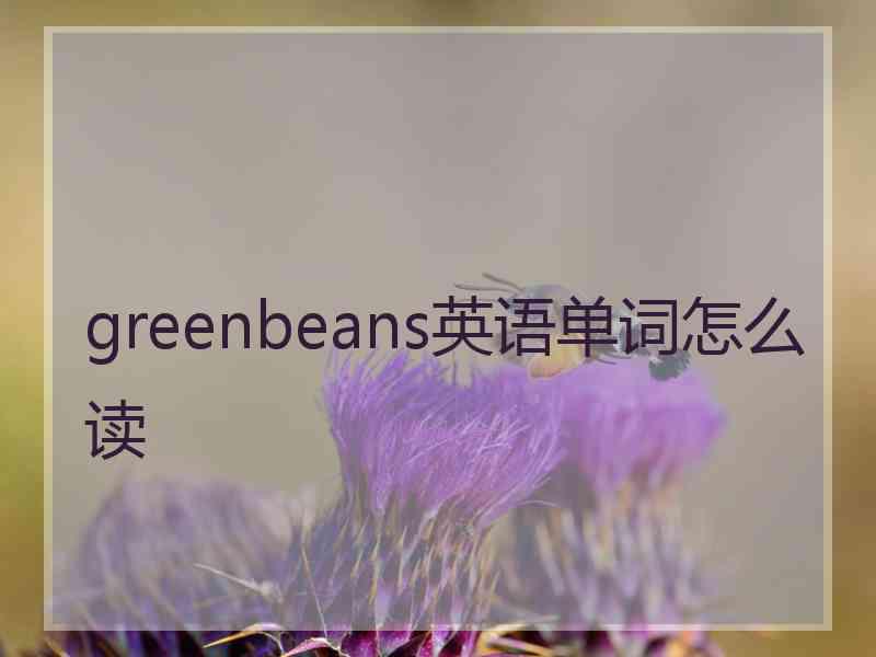 greenbeans英语单词怎么读