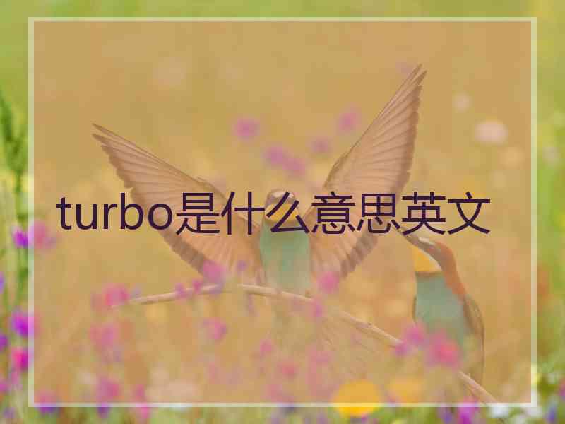 turbo是什么意思英文