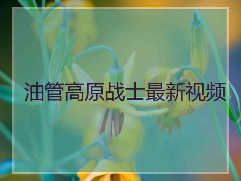 油管高原战士最新视频