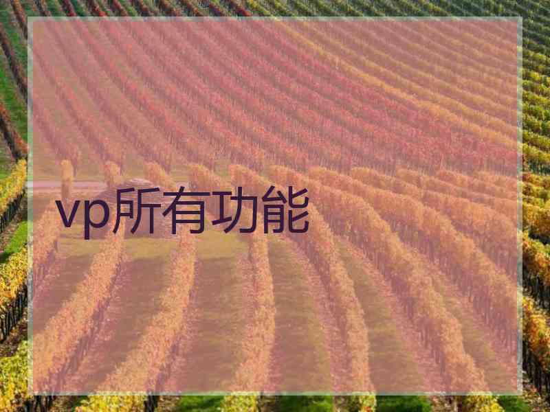 vp所有功能