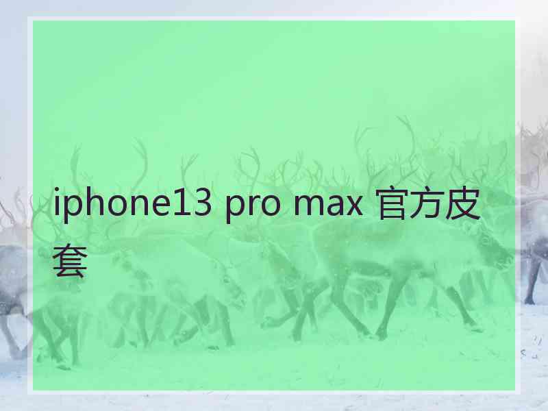 iphone13 pro max 官方皮套