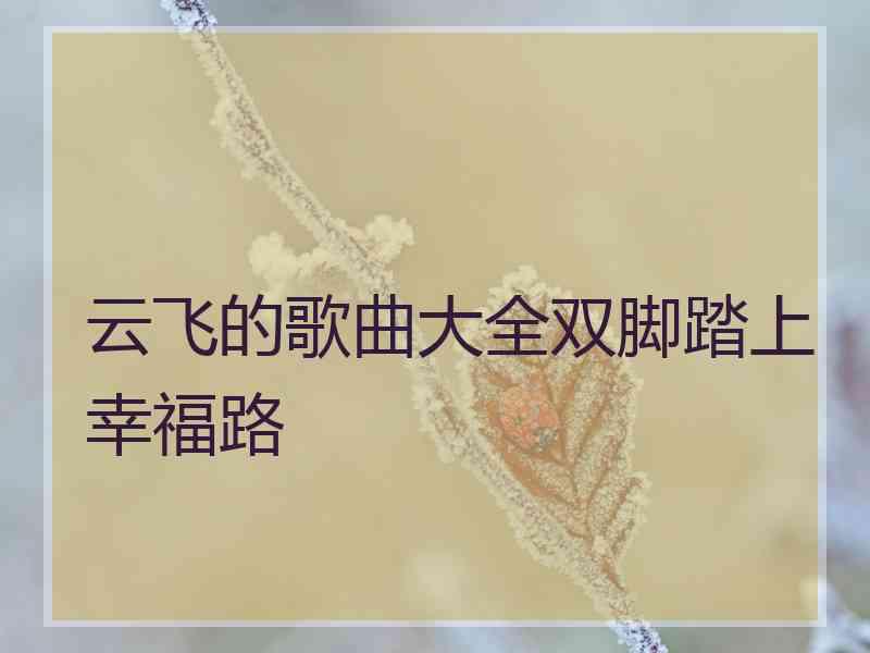 云飞的歌曲大全双脚踏上幸福路