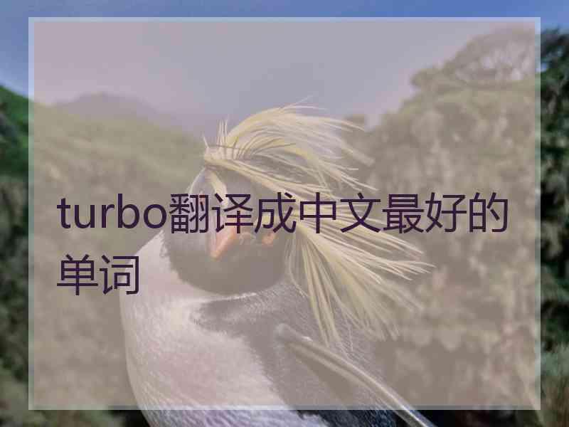 turbo翻译成中文最好的单词