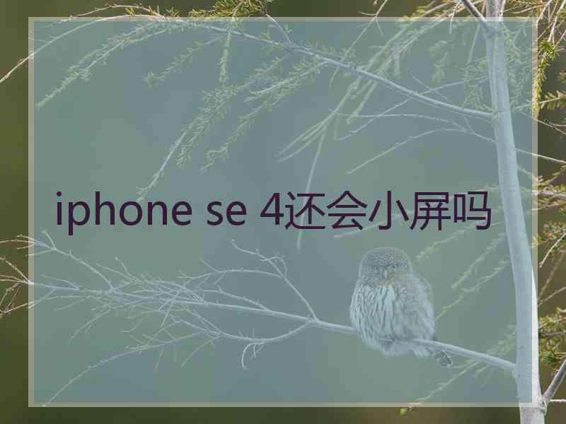 iphone se 4还会小屏吗