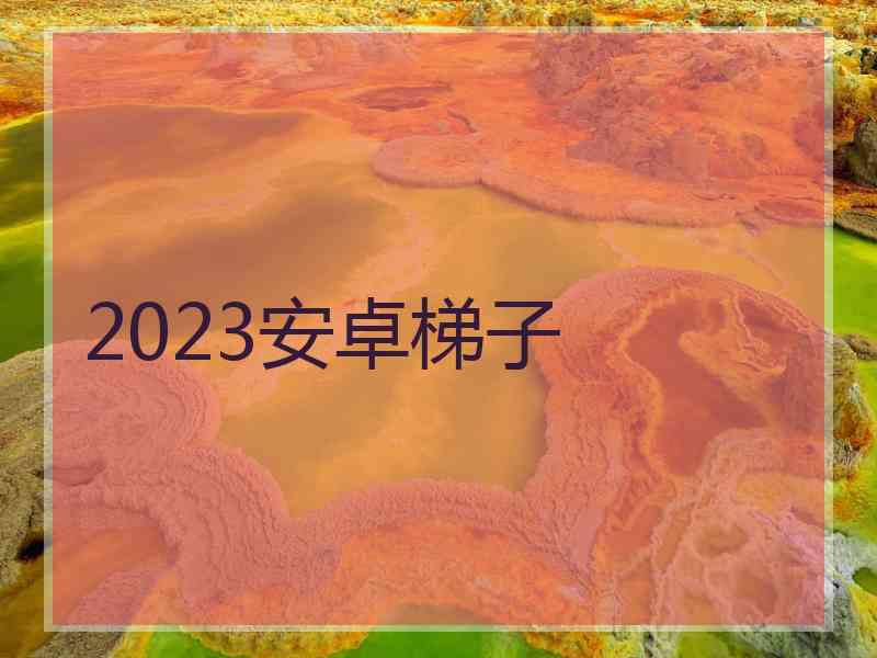 2023安卓梯子