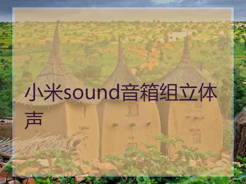 小米sound音箱组立体声