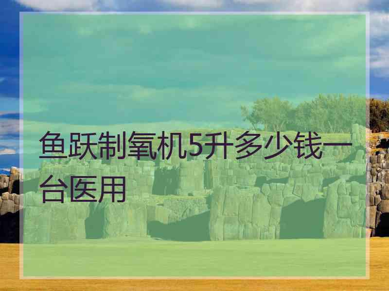 鱼跃制氧机5升多少钱一台医用