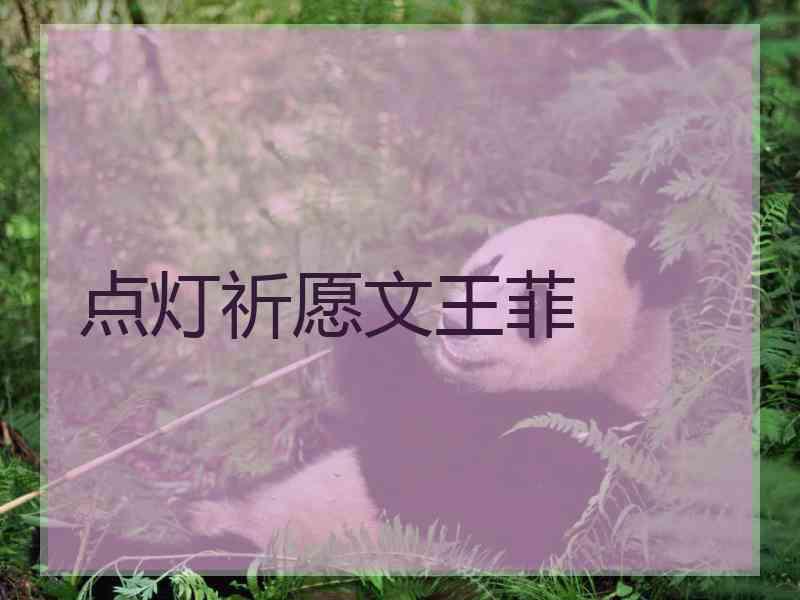 点灯祈愿文王菲