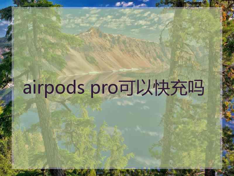 airpods pro可以快充吗