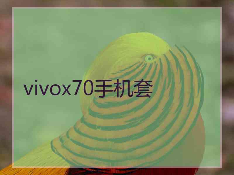 vivox70手机套