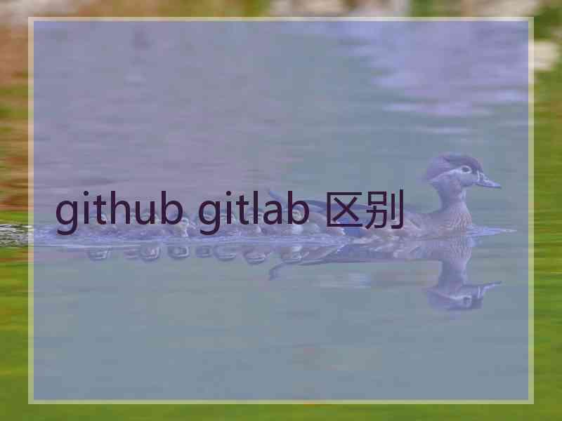 github gitlab 区别