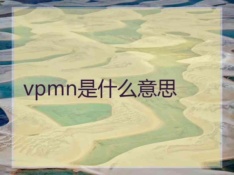 vpmn是什么意思