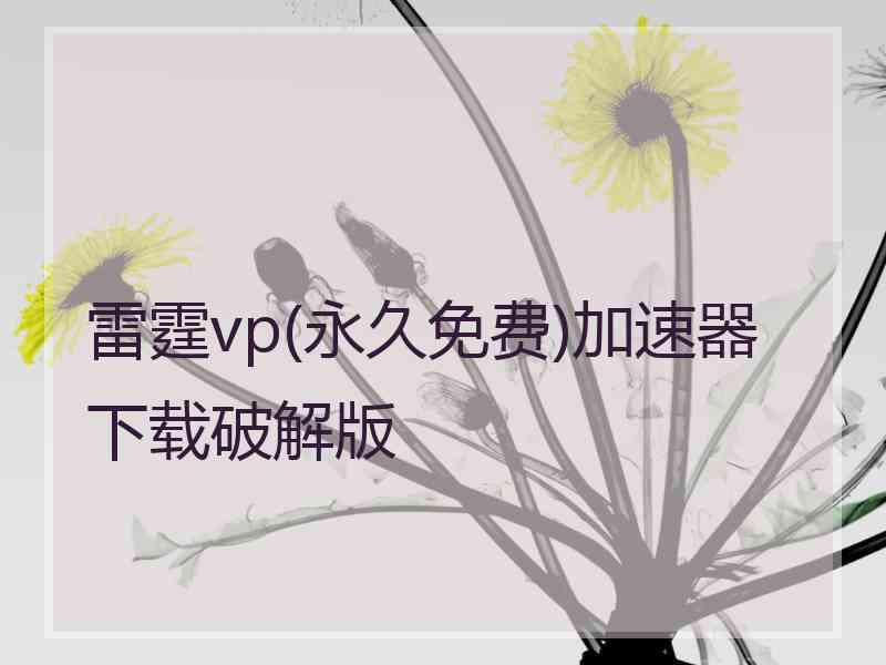 雷霆vp(永久免费)加速器下载破解版