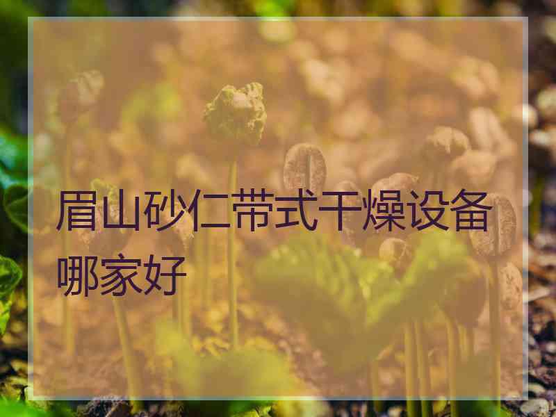 眉山砂仁带式干燥设备哪家好