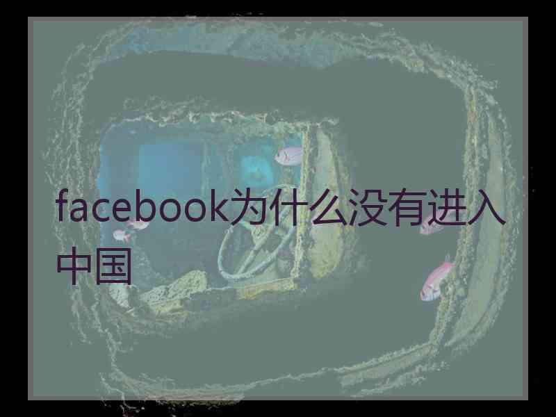 facebook为什么没有进入中国