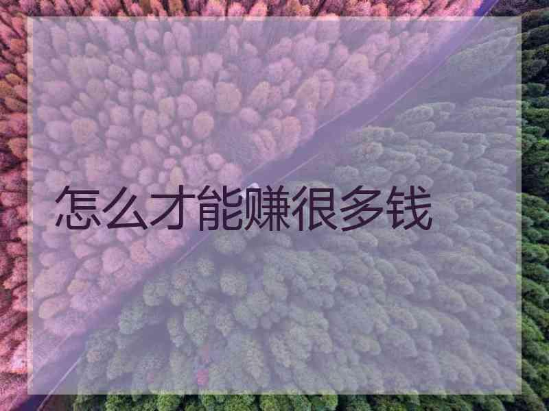 怎么才能赚很多钱