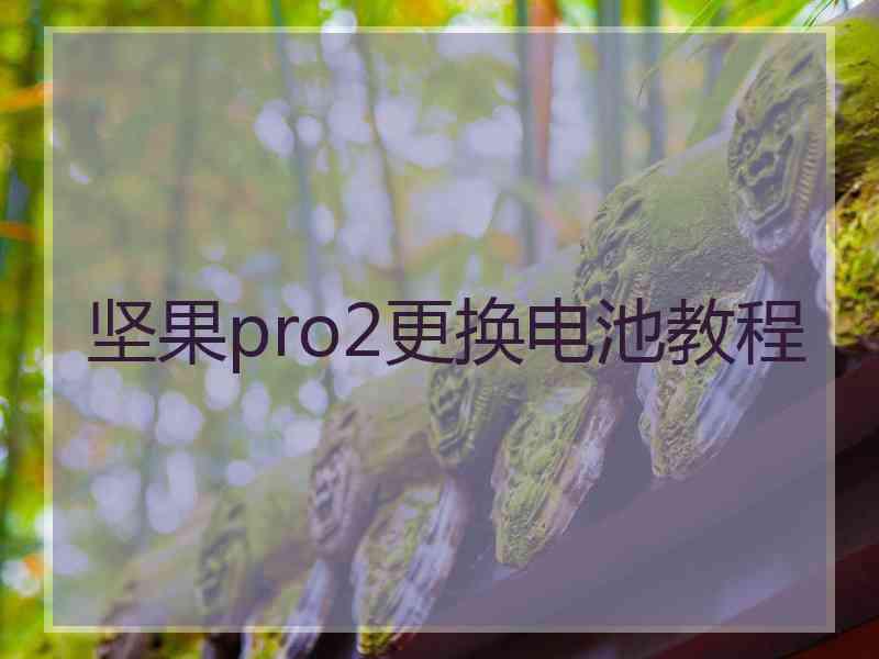 坚果pro2更换电池教程