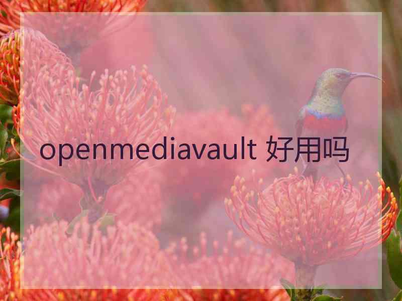 openmediavault 好用吗