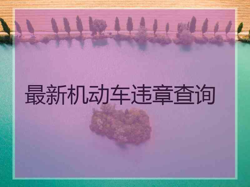 最新机动车违章查询