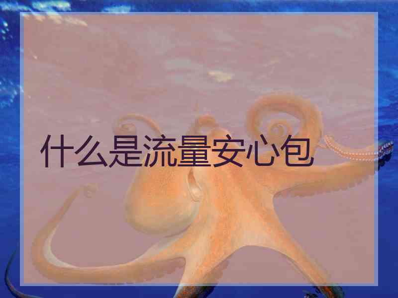 什么是流量安心包