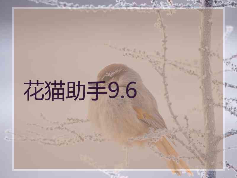 花猫助手9.6