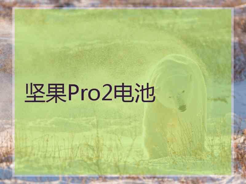 坚果Pro2电池