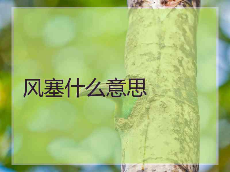 风塞什么意思