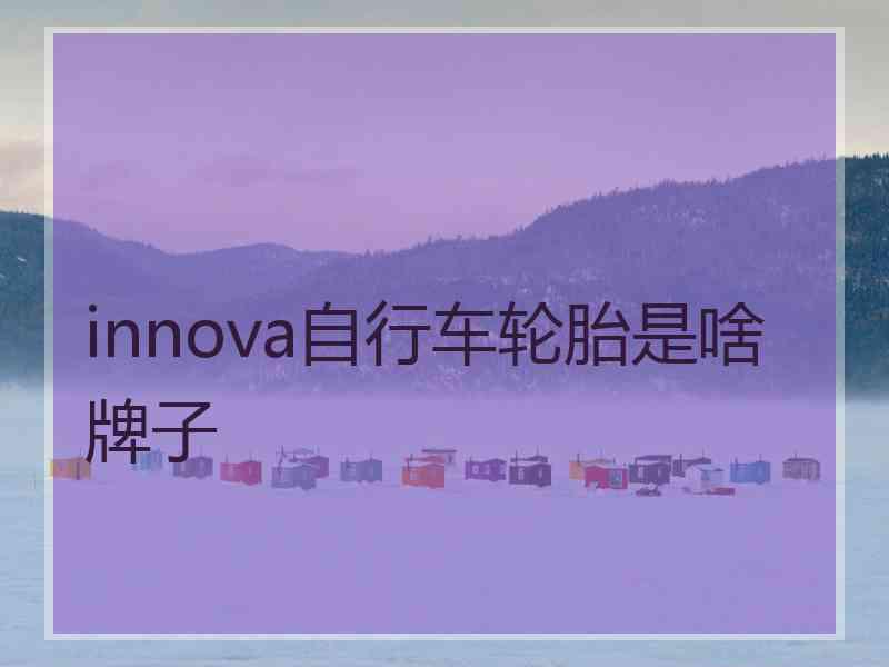 innova自行车轮胎是啥牌子