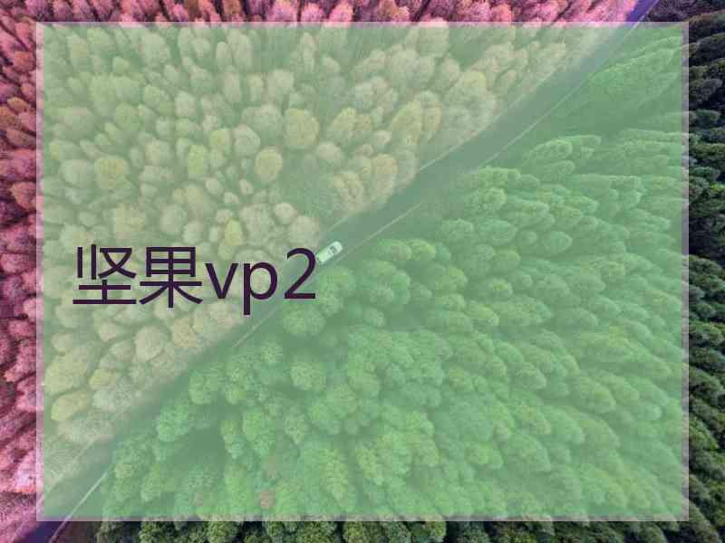 坚果vp2