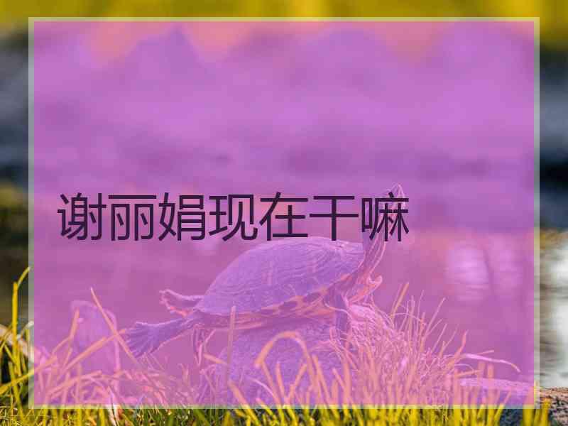 谢丽娟现在干嘛