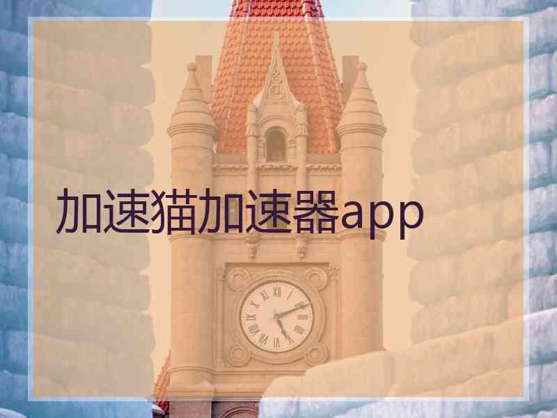 加速猫加速器app