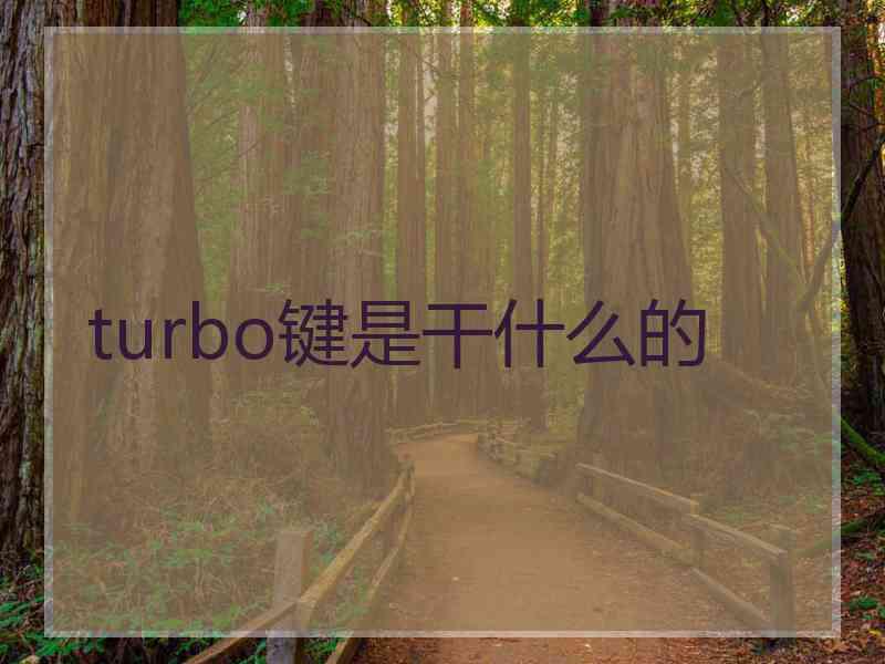 turbo键是干什么的