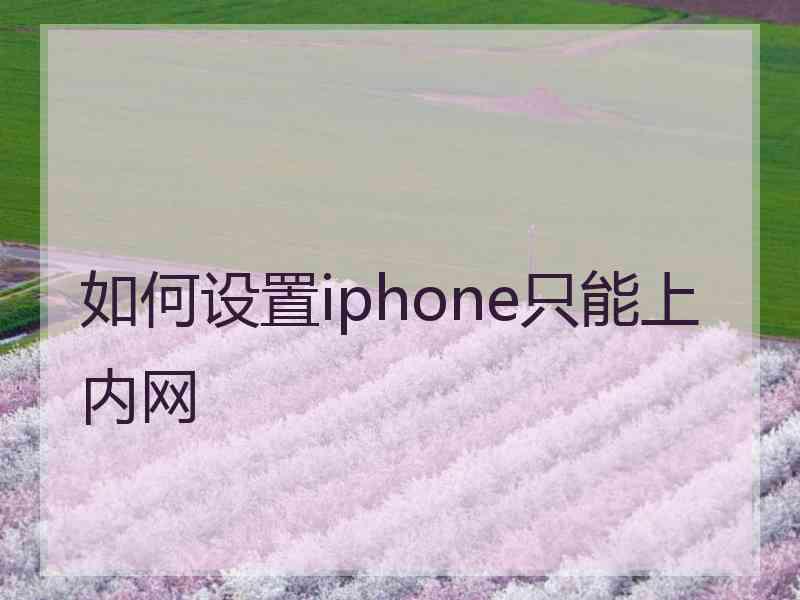 如何设置iphone只能上内网