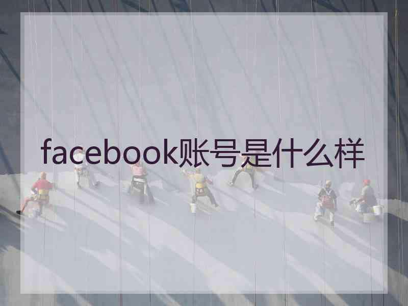 facebook账号是什么样