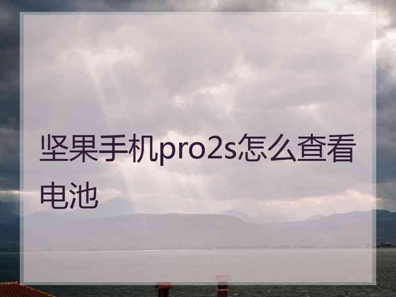 坚果手机pro2s怎么查看电池