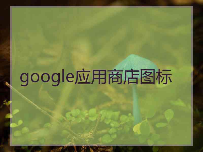 google应用商店图标