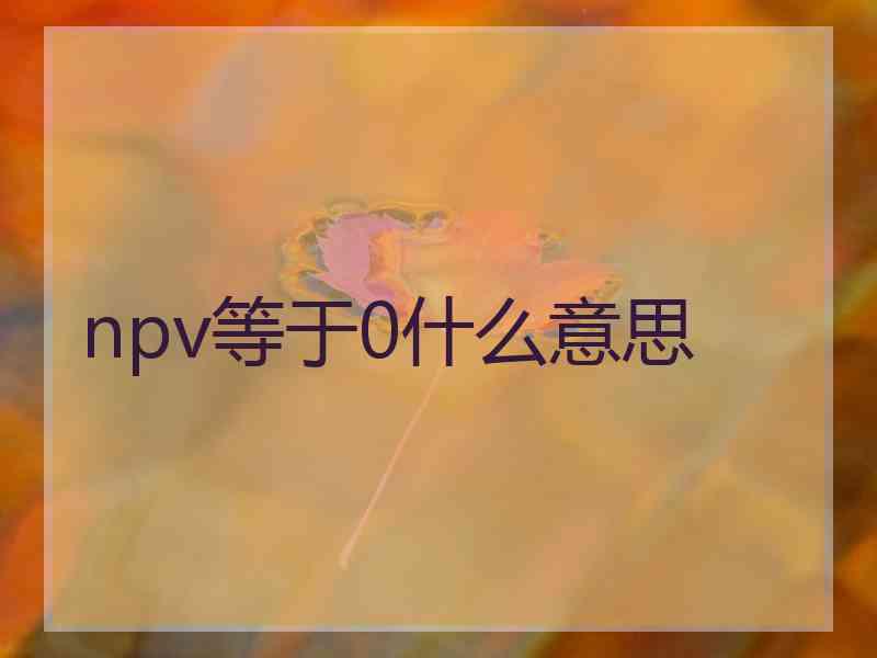 npv等于0什么意思