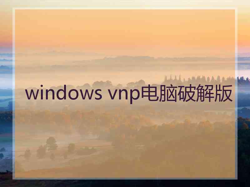 windows vnp电脑破解版