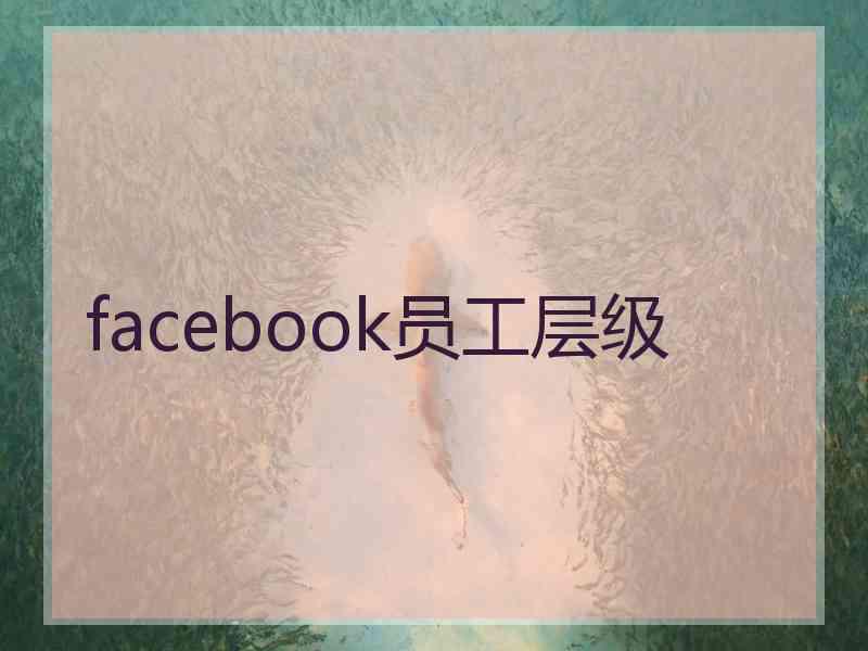 facebook员工层级