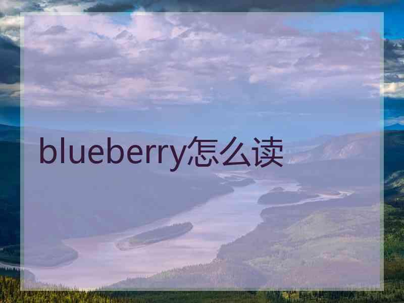 blueberry怎么读