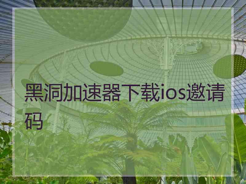 黑洞加速器下载ios邀请码