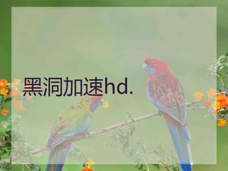 黑洞加速hd.