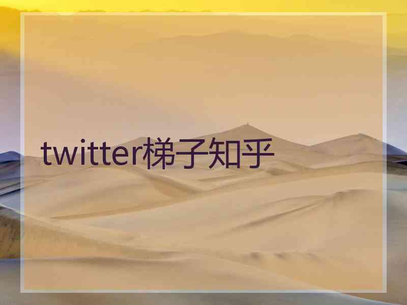 twitter梯子知乎