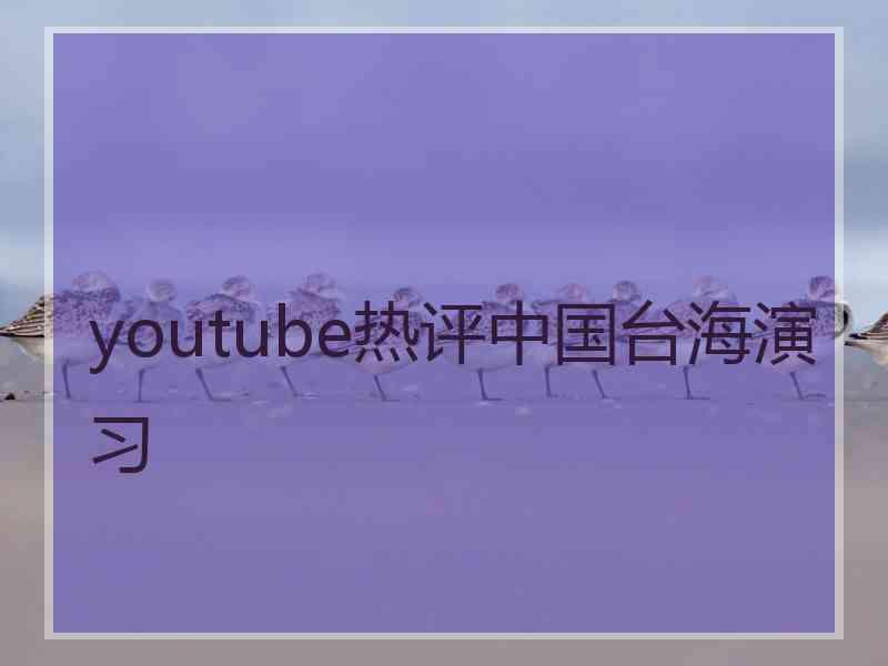 youtube热评中国台海演习